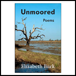 unmoored book front cover