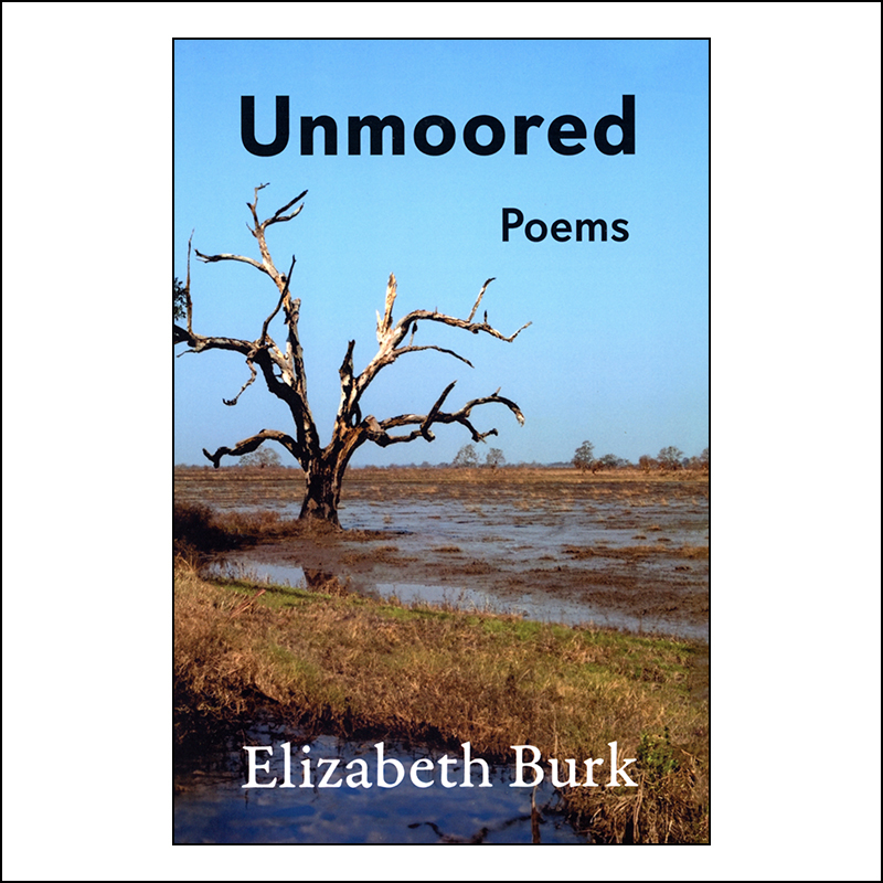 Unmoored Front Cover